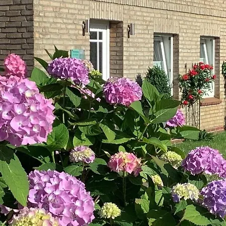 Old Carpentry Comfortable *