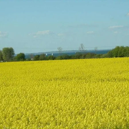 Old Carpentry Comfortable Dom wakacyjny *